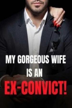 My Gorgeous Wife is an Ex-Convict!