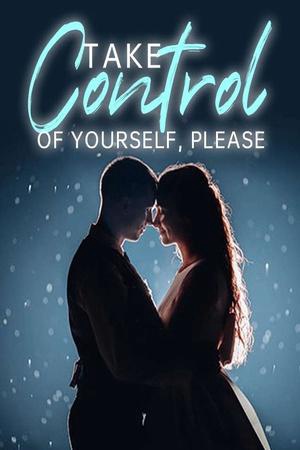 Take Control of Yourself, Please novel (Anna and Liam)