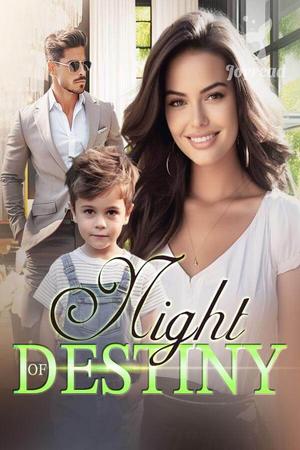 Night of Destiny Novel
