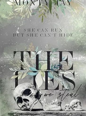 The Lies we Steal (The Hollow Boys Book 1)